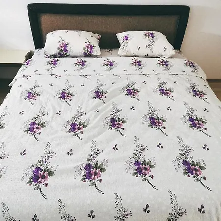 Cozy Corner - Free Parking & Wi-fi Appartamento Ćuprija